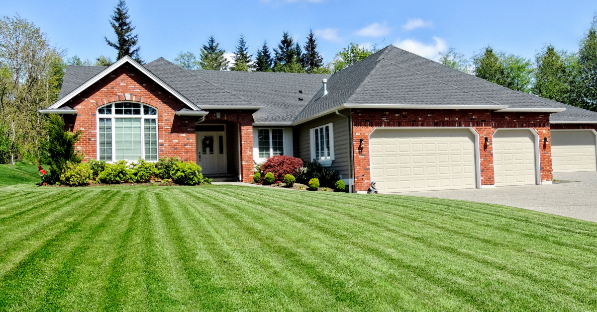 Summertime Tree Service in Lexington, KY: Why Now Is the Time to Call the Pros
