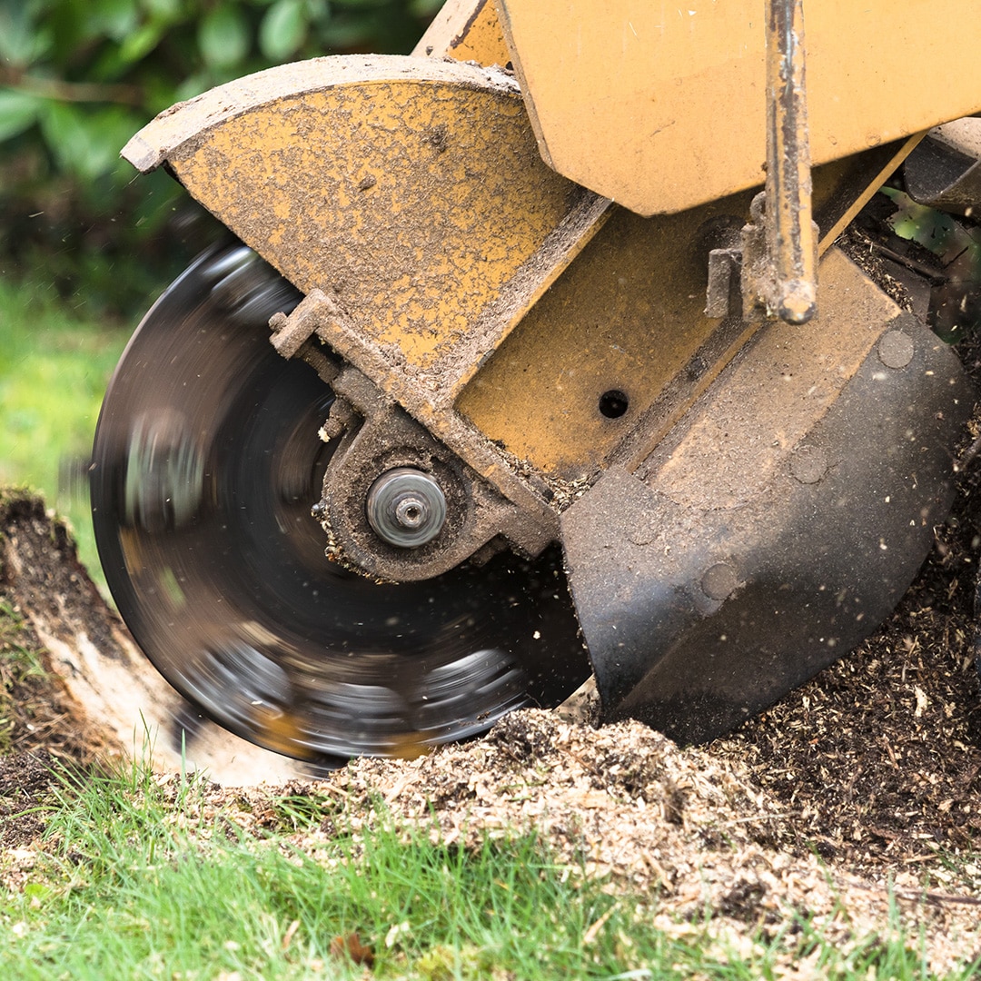 Storm Damage in Eastern Kentucky? We’re Here When You Need Us Most.